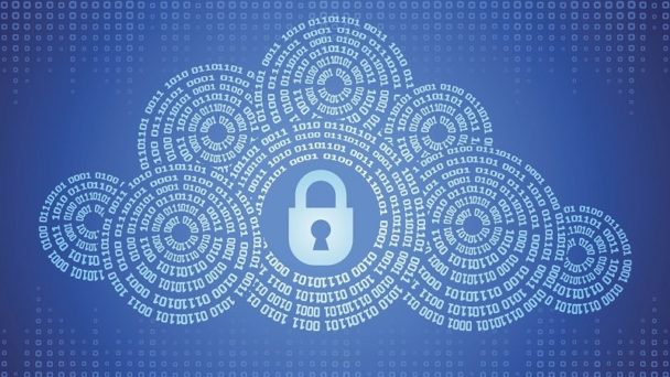 Cloud Computing Security and Privacy Risks