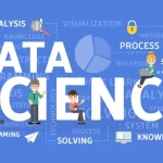 What Is a Data Scientist
